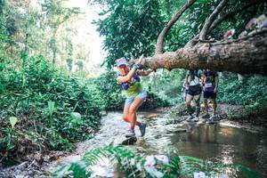 BIB: 
                            <button type="button" onclick="openModal(25436832)" class="btn btn-primary btn-sm float-right btn-popup" data-toggle="modal" data-target=".modal-high-quality">
                        <i class="fas fa-shopping-cart"></i> Add to Cart
                    </button>
                                            <button type="button" onclick="isThisMe(25436832, true)" class="btn btn-success btn-sm float-right btn-popup btn-isme hidden" data-toggle="tooltip" data-placement="bottom" title="นี่คือรูปของคุณใช่ไหม คลิกที่นี่เพื่อเอาเข้าอัลบั้ม">
                        <i class="fas fa-plus"></i> Add to album
                    </button>
                    <button type="button" onclick="isThisMe(25436832, false)" class="btn btn-warning btn-sm float-right btn-popup btn-isnotme hidden">
                        <i class="fas fa-ban"></i> Remove from album
                    </button>